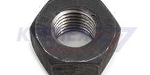 Гайка ГОСТ Р 52645-2006 M 20 кл.пр.10 ХЛ (25)